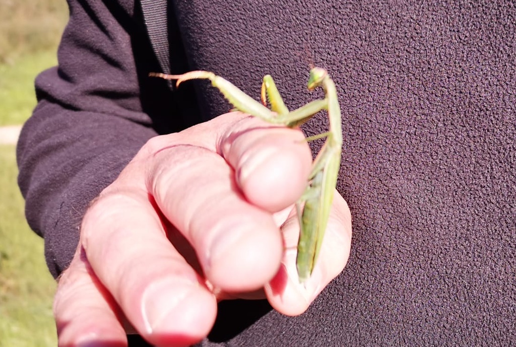 Identificación de especies de fauna en actividades de turismo de naturaleza